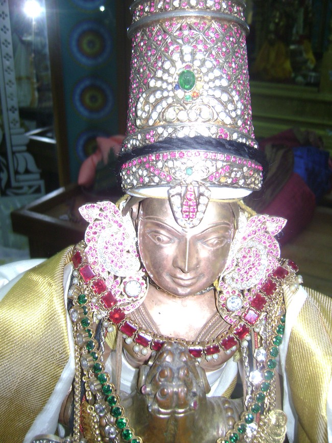 Mylapore SVDD Jaya Varusha Nathamunigal Thirunakshatram 2014 07