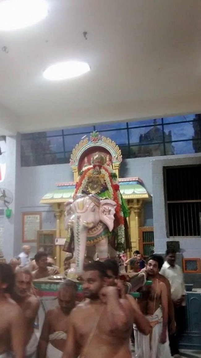 Mylapore SVDD Sri Alarmelumagai Thayar Aadi Velli Kizhamai Purappadu10