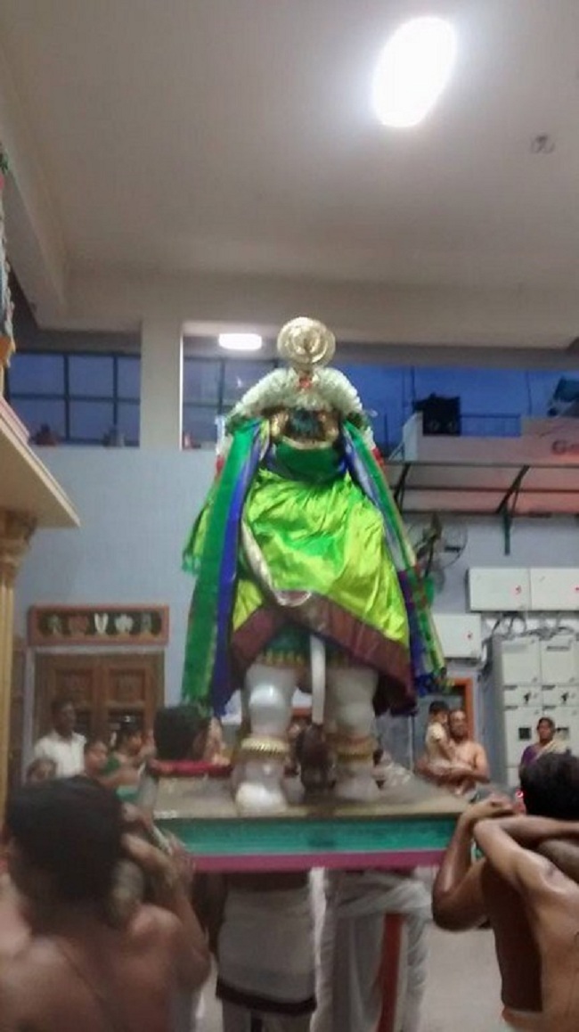 Mylapore SVDD Sri Alarmelumagai Thayar Aadi Velli Kizhamai Purappadu18