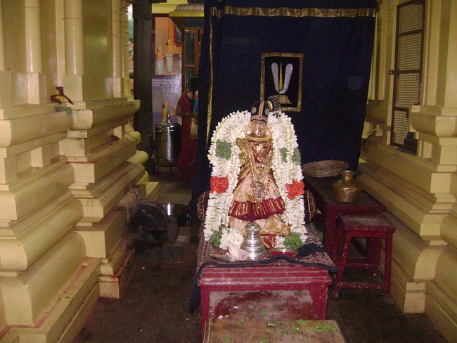 Mylapore SVDD  Sri Andal THiruvadipooram Utsavam day 8 2014 07