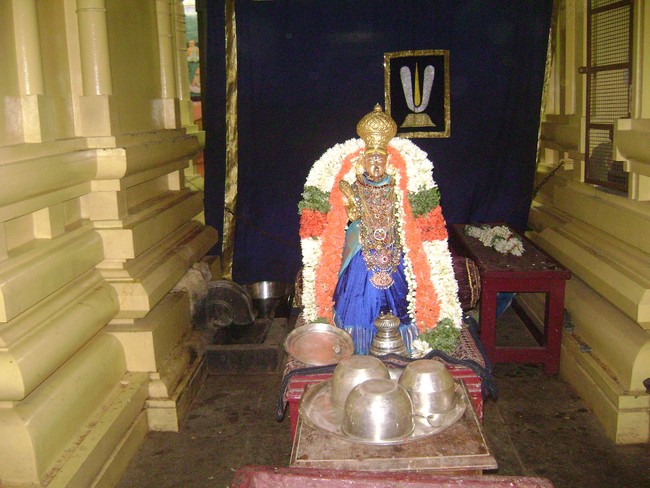 Mylapore SVDD Srinivasa Perumal Kovil Andal Brahmotsavam day 3 2014 02