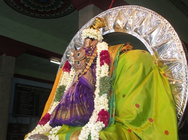 Nagai Soundararaja Perumal Kovil Andal Brahmotsavam day 1 2014 2