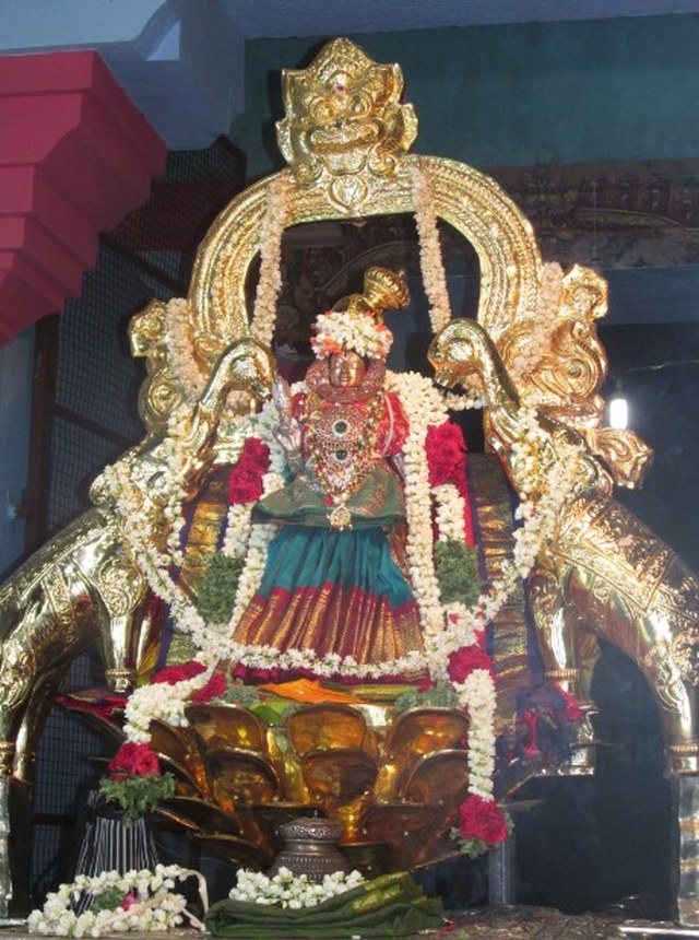 Nagai Soundararaja Perumal Temple  Sri Andal Thiruvadipooram Utsavam day 7 2014 03