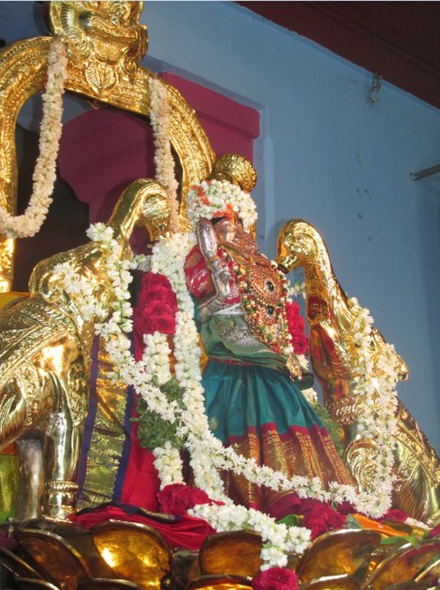 Nagai Soundararaja Perumal Temple  Sri Andal Thiruvadipooram Utsavam day 7 2014 05