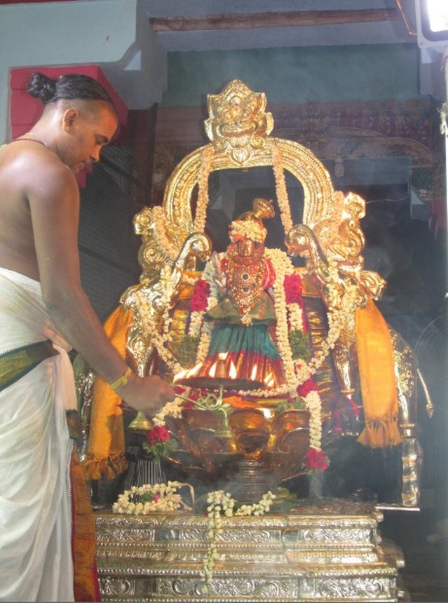Nagai Soundararaja Perumal Temple  Sri Andal Thiruvadipooram Utsavam day 7 2014 06