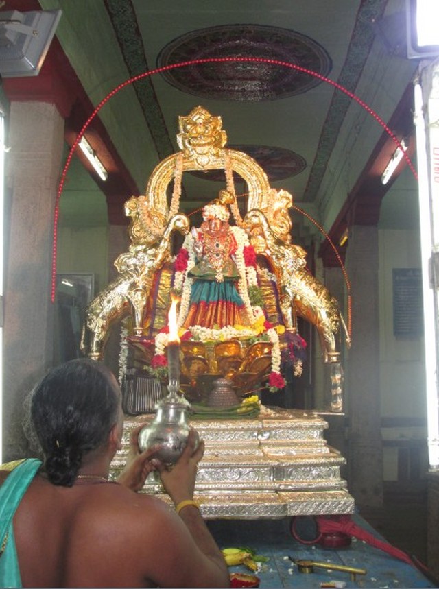 Nagai Soundararaja Perumal Temple  Sri Andal Thiruvadipooram Utsavam day 7 2014 08