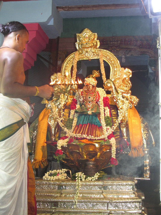 Nagai Soundararaja Perumal Temple  Sri Andal Thiruvadipooram Utsavam day 7 2014 10