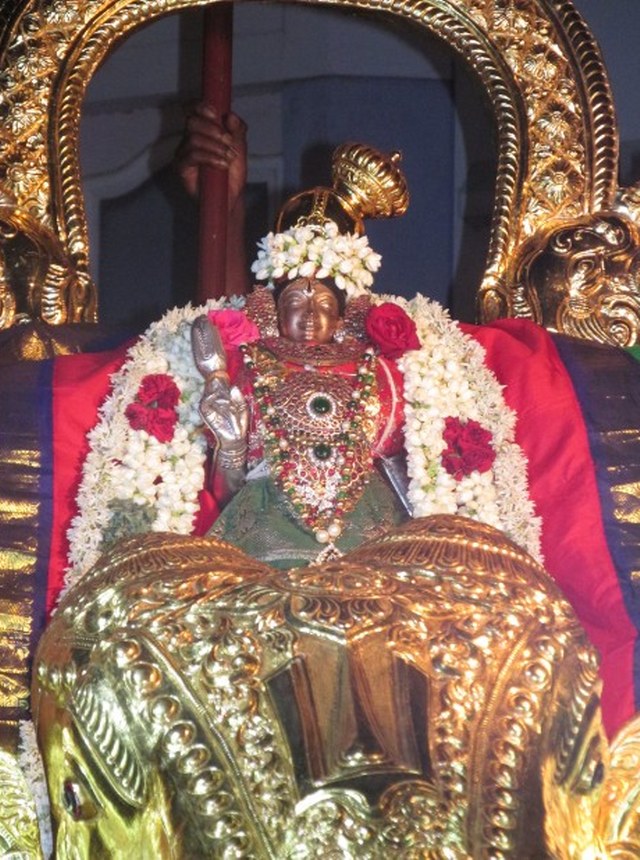 Nagai Soundararaja  Perumal kovil  Sri Andal Thiruvadipooram Utsavam day 6 2014 4