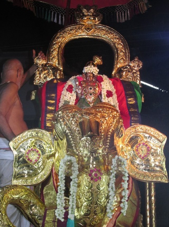 Nagai Soundararaja  Perumal kovil  Sri Andal Thiruvadipooram Utsavam day 6 2014 5