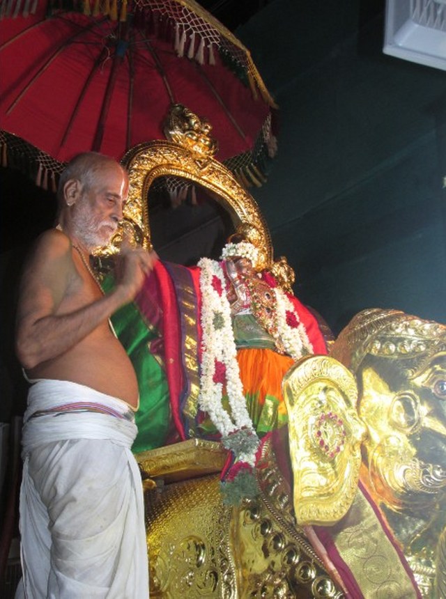 Nagai Soundararaja  Perumal kovil  Sri Andal Thiruvadipooram Utsavam day 6 2014 7