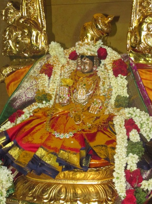 Nagai Soundaravalli Thayar Brahmotsavam day 7 2014 01