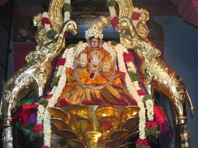 Nagai Soundaravalli Thayar Brahmotsavam day 7 2014 09