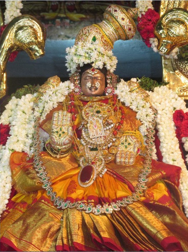 Nagai Soundaravalli Thayar Brahmotsavam day 7 2014 10
