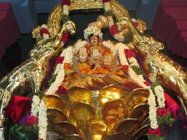 Nagai Soundaravalli Thayar Brahmotsavam day 7 2014 11