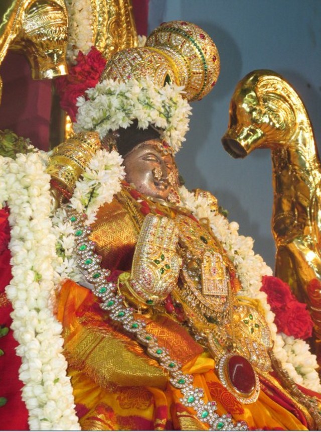 Nagai Soundaravalli Thayar Brahmotsavam day 7 2014 12