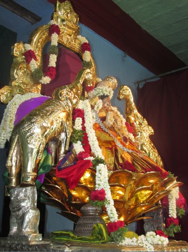 Nagai Soundaravalli Thayar Brahmotsavam day 7 2014 14
