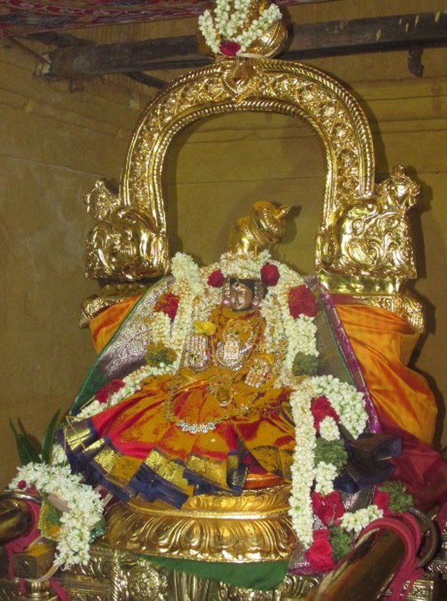 Nagai Soundaravalli Thayar Brahmotsavam day 7 2014 17