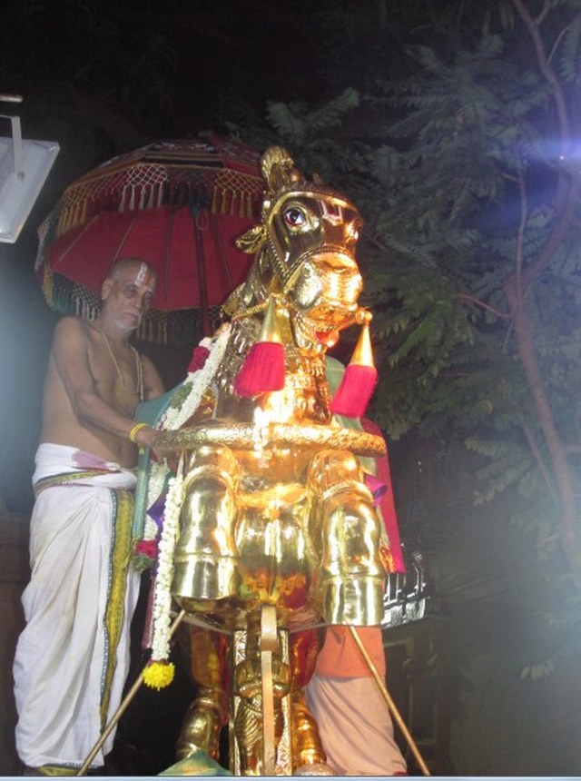 Nagai Soundaravalli Thayar Brahmotsavam day 8 2014 05