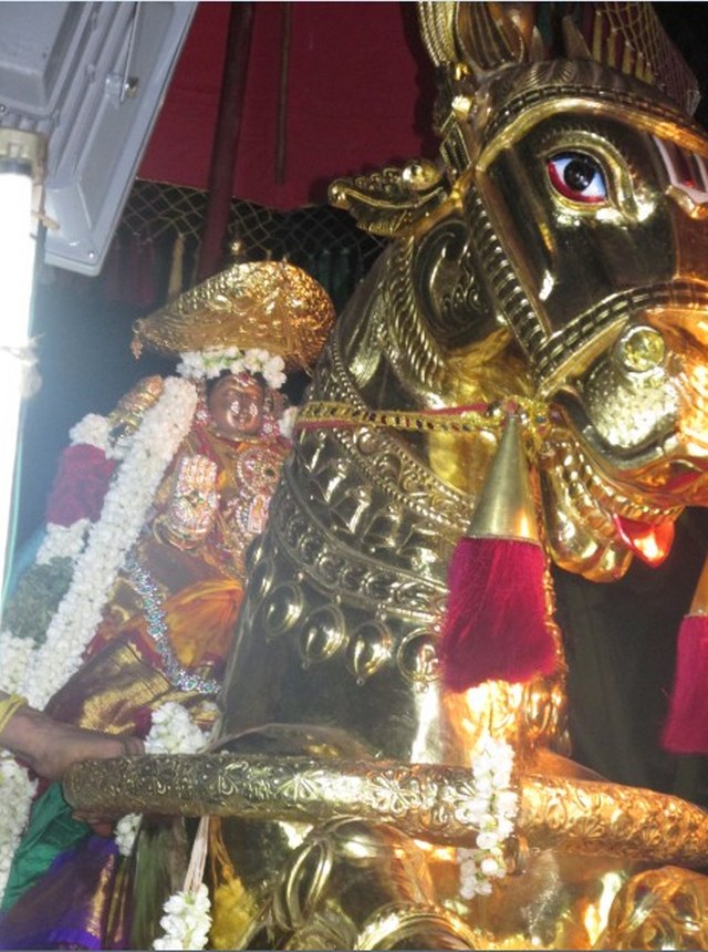 Nagai Soundaravalli Thayar Brahmotsavam day 8 2014 06