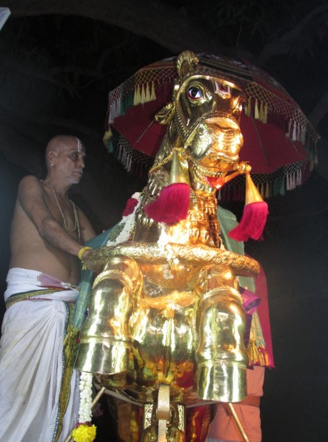 Nagai Soundaravalli Thayar Brahmotsavam day 8 2014 08