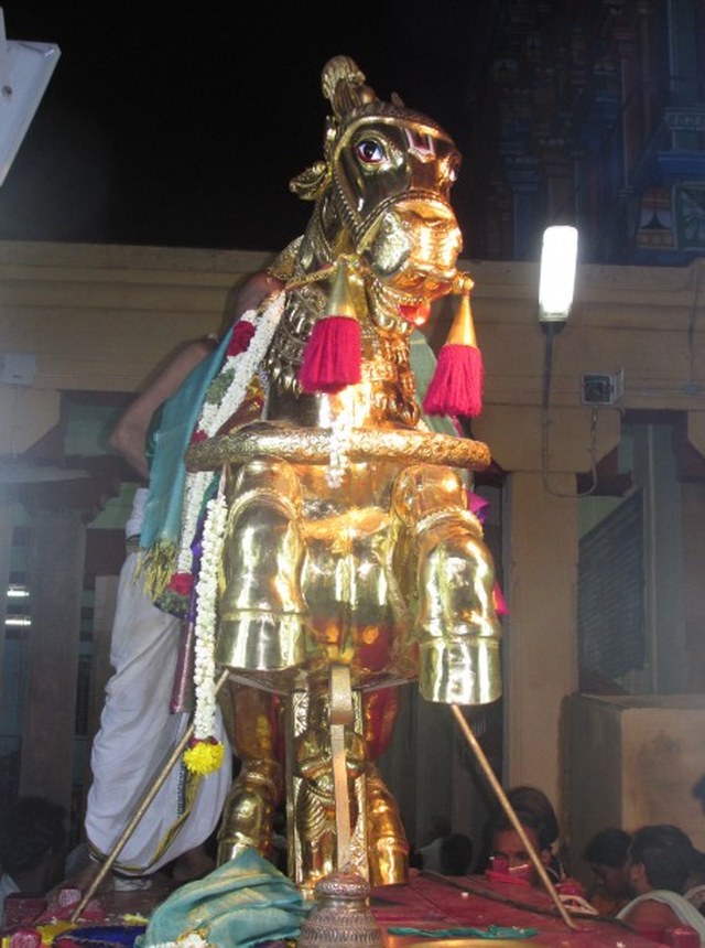 Nagai Soundaravalli Thayar Brahmotsavam day 8 2014 09
