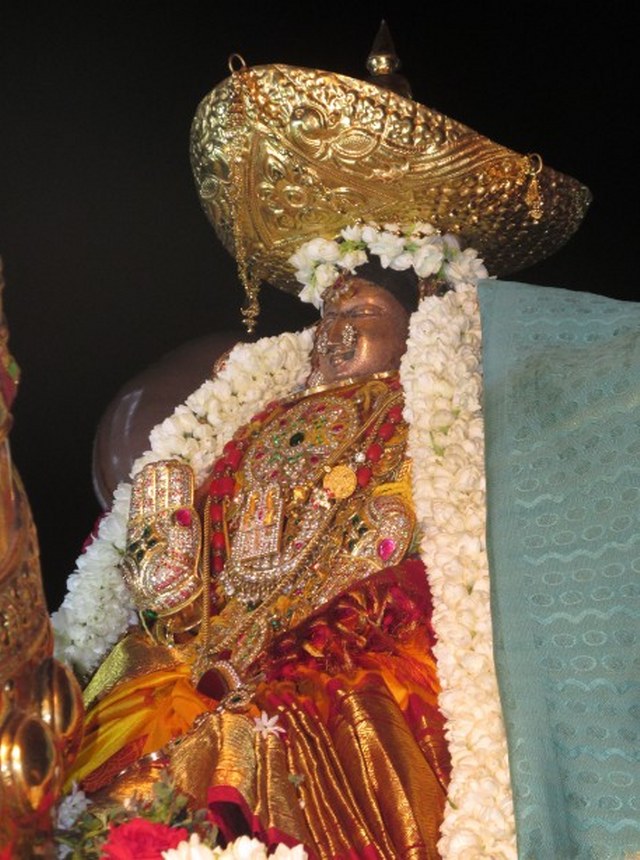 Nagai Soundaravalli Thayar Brahmotsavam day 8 2014 11