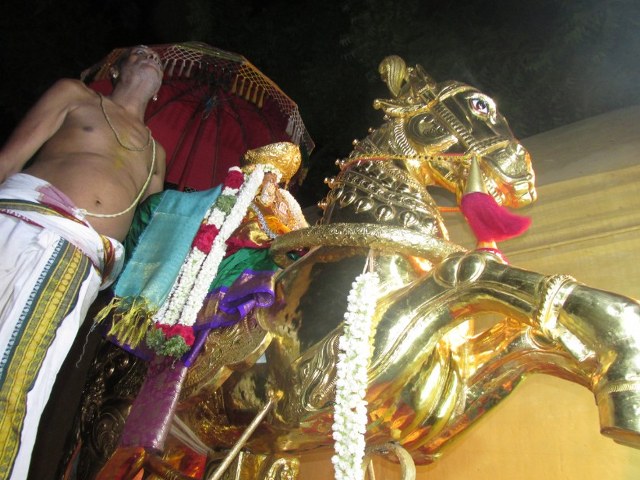 Nagai Soundaravalli Thayar Brahmotsavam day 8 2014 12