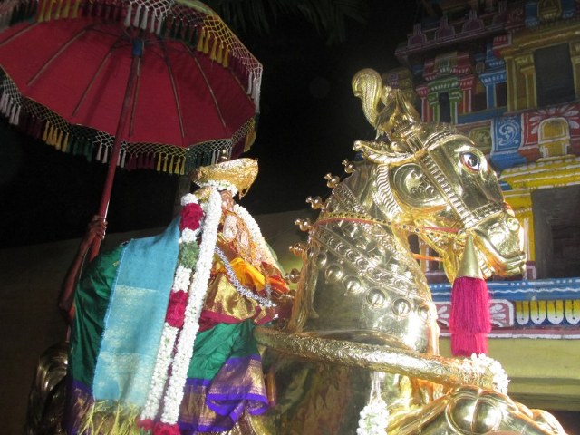 Nagai Soundaravalli Thayar Brahmotsavam day 8 2014 14