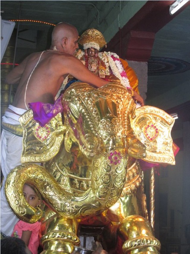 Nagai Soundaryavalli Thayar Brahmotsavam Gaja vahanam 2014 05