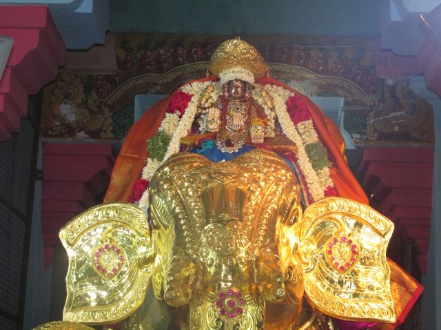 Nagai Soundaryavalli Thayar Brahmotsavam Gaja vahanam 2014 13