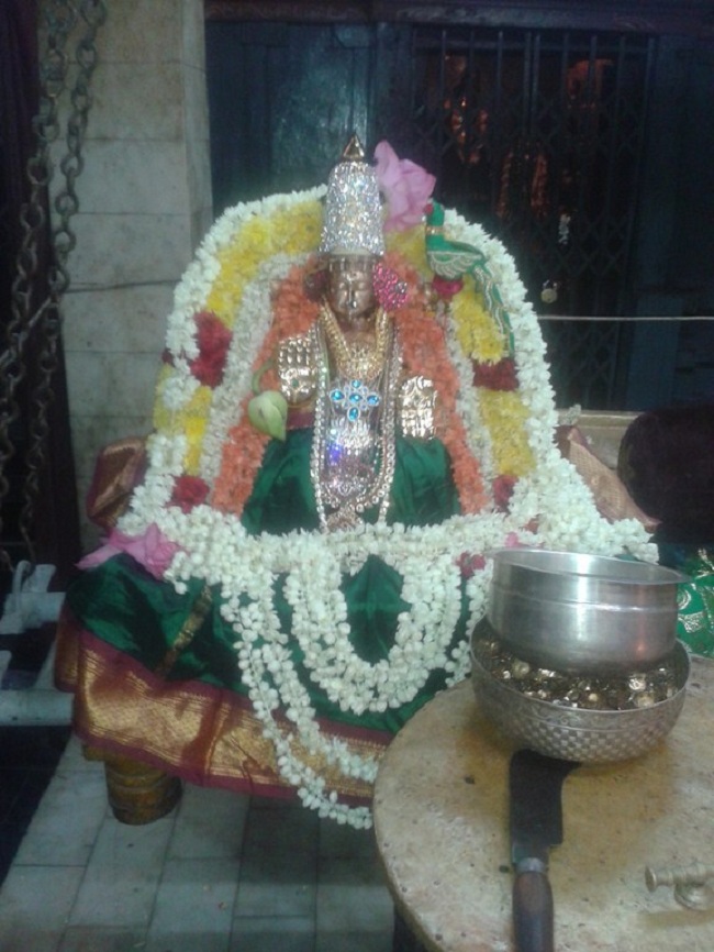 Nanganallur Sri Lakshmi Hayavadhana Perumal Temple Aadi Velli Oonjal Sevai2
