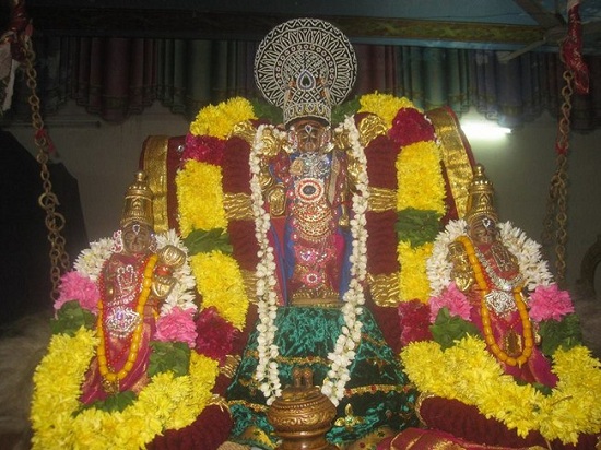 Nungambakkam Sri Prasanna Venkatesa Perumal Temple Aadi Ammavasai Purappadu2