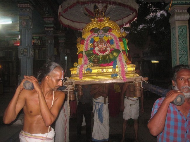 Nungambakkam Sri Prasanna Venkatesa Perumal Temple Aadi Vellikizhamai Purappadu6
