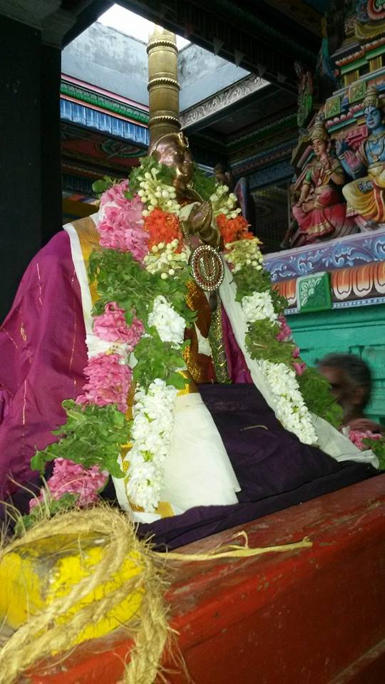 Oppiliappan Perumal temple Periyazhwar THirunakshatra Utsavam 2014 6
