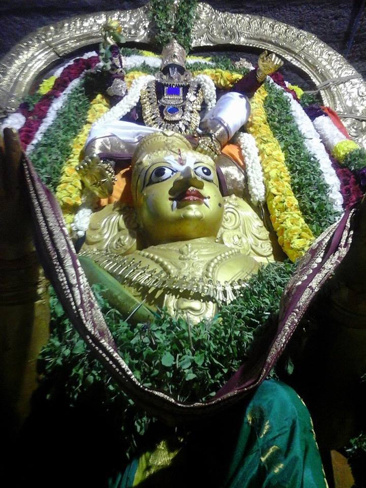 Palayamkottai Rajagopalaswamy Varushabhishekam4