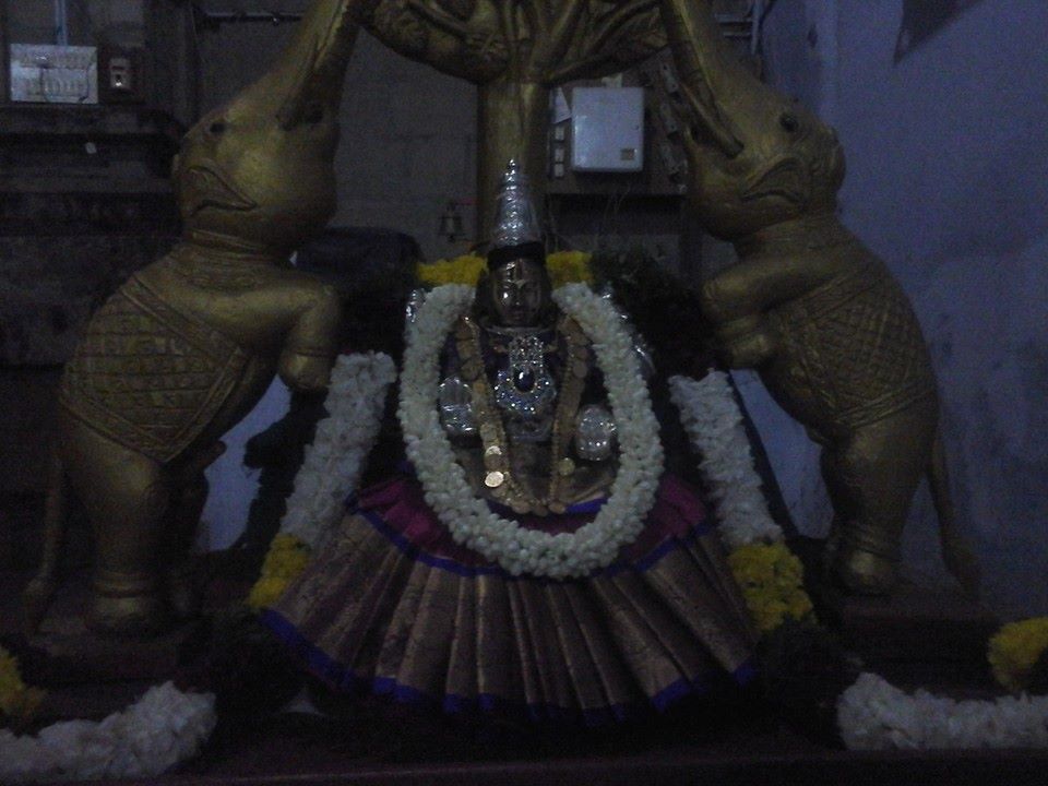 Palayamkottai Rajagopalaswamy Varushabhishekam8