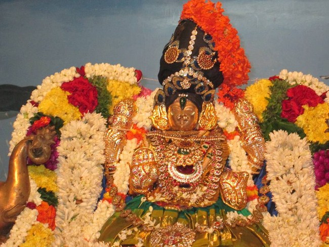 Pondicherry Sri Alarmelmangai Thayar Aadi Vellikizhamai Purappadu1