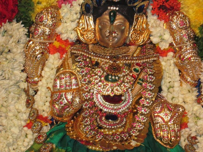 Pondicherry Sri Alarmelmangai Thayar Aadi Vellikizhamai Purappadu13