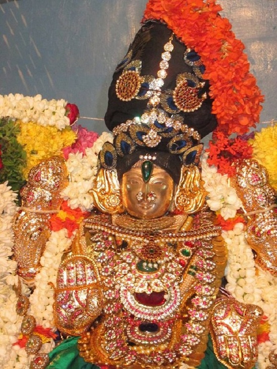 Pondicherry Sri Alarmelmangai Thayar Aadi Vellikizhamai Purappadu15