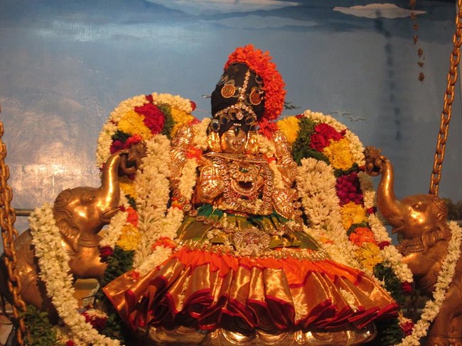 Pondicherry Sri Alarmelmangai Thayar Aadi Vellikizhamai Purappadu17