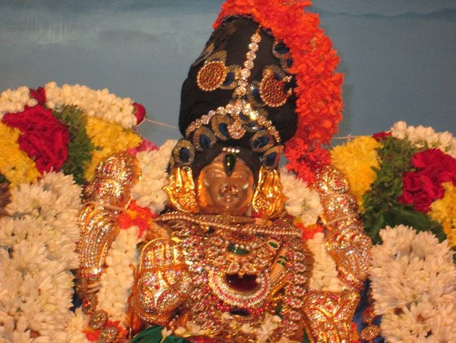 Pondicherry Sri Alarmelmangai Thayar Aadi Vellikizhamai Purappadu6
