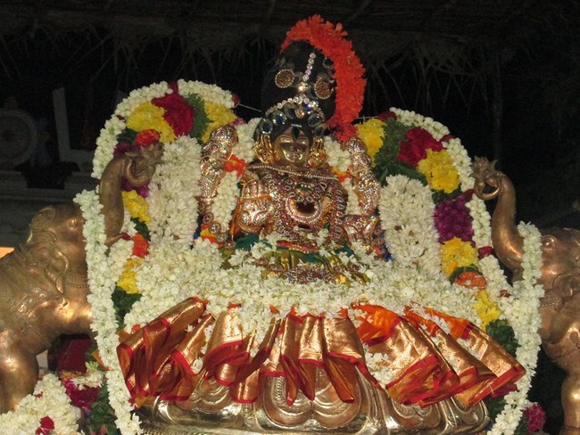 Pondicherry Sri Alarmelmangai Thayar Aadi Vellikizhamai Purappadu7