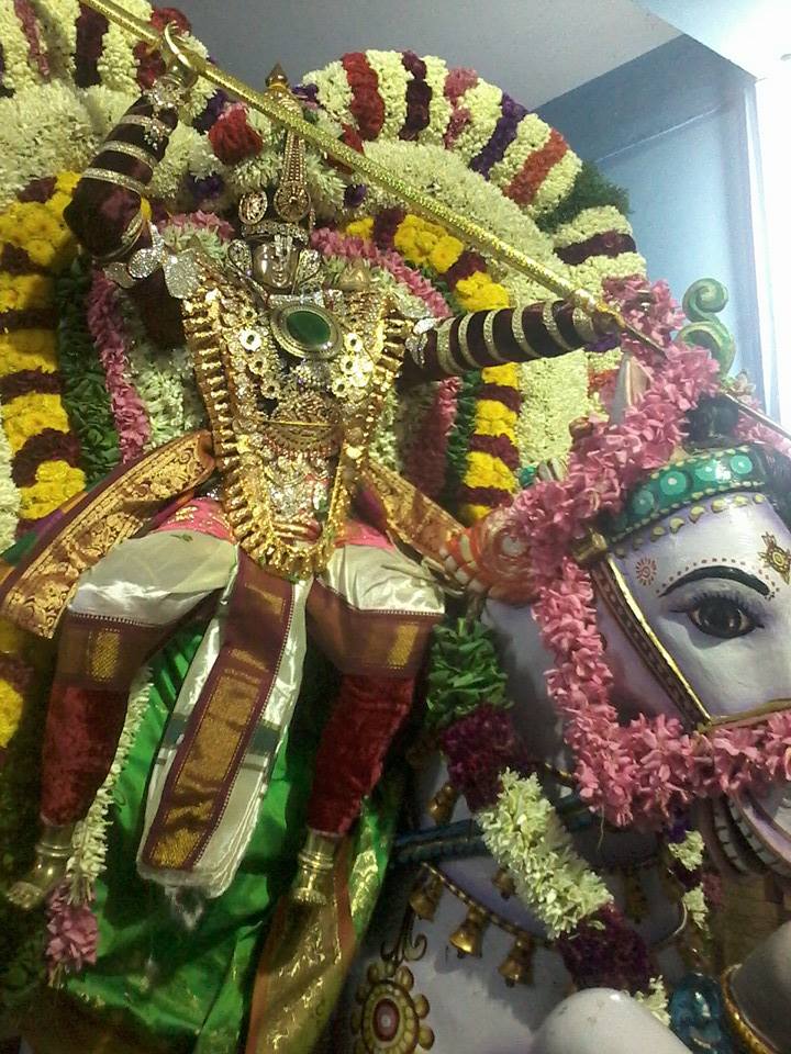 Pondicherry Varadaraja Perumal Kudhirai Vahanam