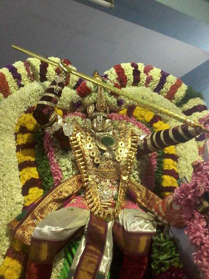 Pondicherry Varadaraja Perumal Kudhirai Vahanam1