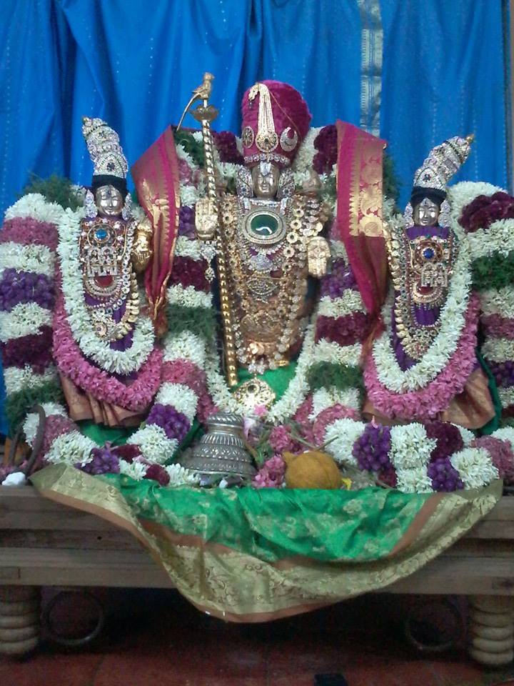 Pondicherry Varadaraja Perumal Ther