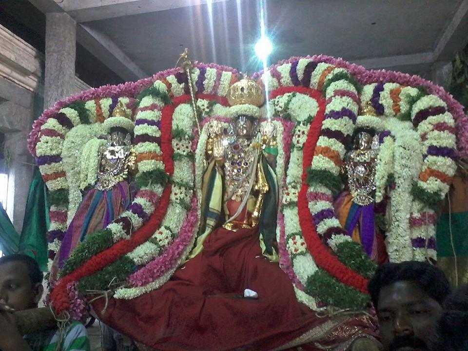 Pondicherry Varadaraja Perumal Thirukalyanam1