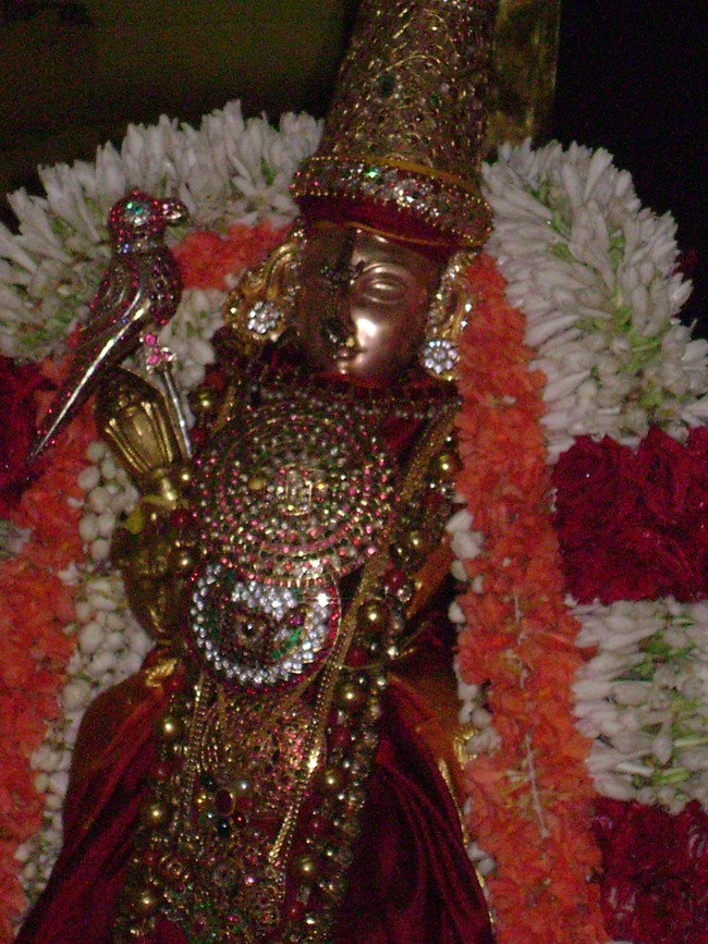 SVDDil Sri Andal Thiruvadipooram Utsavam day 9 2014 3