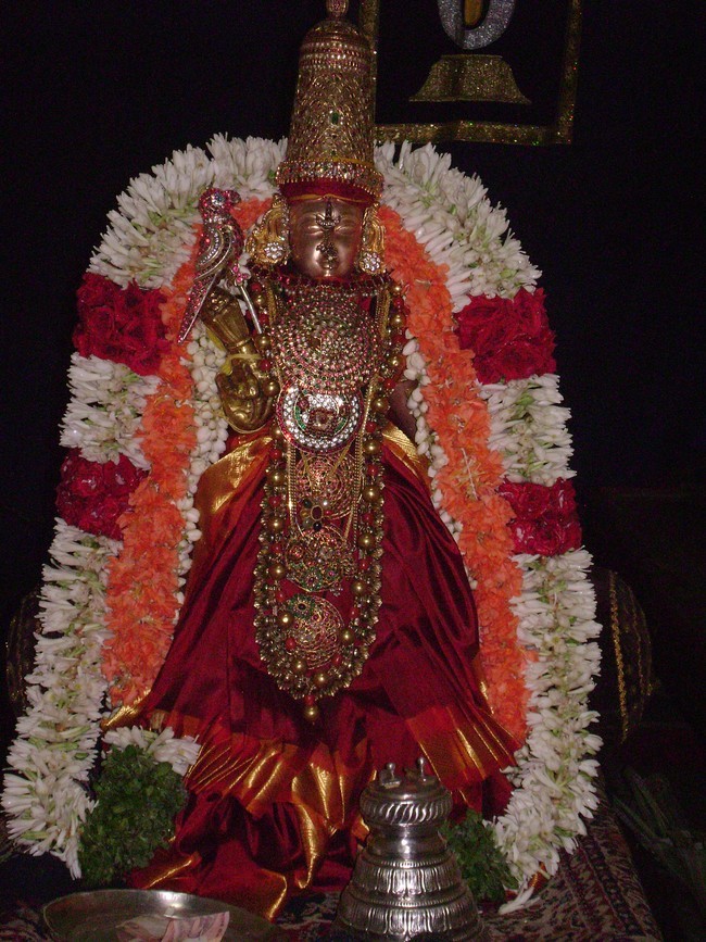 SVDDil Sri Andal Thiruvadipooram Utsavam day 9 2014 8