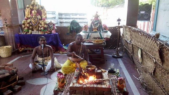 Sengalipuram Sri Paraimala Ranganathar Temple Pavithrotsavam day 3 2014 08