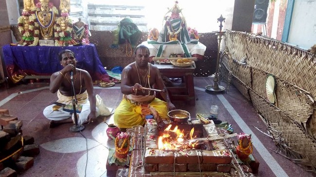 Sengalipuram Sri Paraimala Ranganathar Temple Pavithrotsavam day 3 2014 09